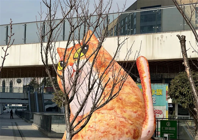 圖片 10.png